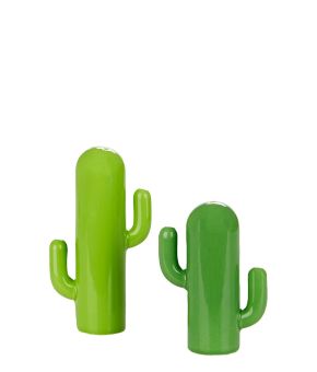 Salt and Pepper Set Arizona Porcelain